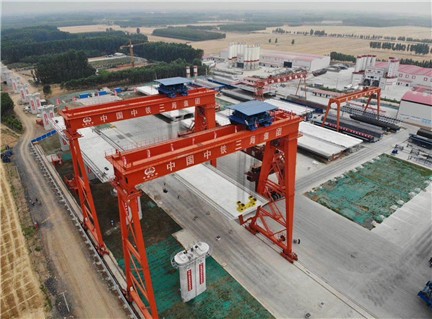 Beam Carrier Gantry Crane